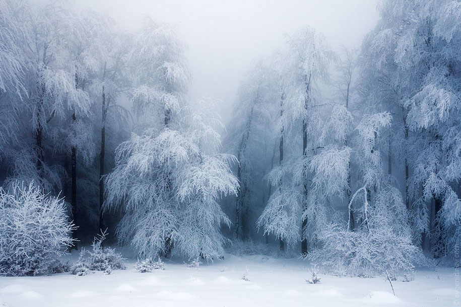 世界の美しい冬景色 20枚（2013年） | PHOTO HACK